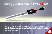 KIT - delirium Swiss & Slim ( Single Kit - Silver ) image 10